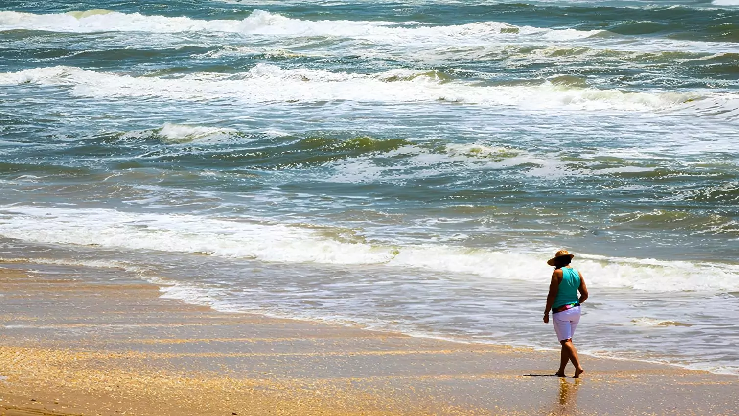 Padre Island National Seashore